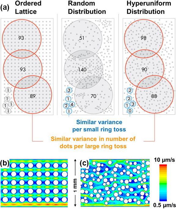 &lt;strong&gt;Figure 1.&lt;/strong&gt; The hyperuniform (HU) pattern is a special spatial arrangement within a system that appears to have local heterogeneity or randomness but global regularity or homogeneity in its structure. &lt;strong&gt;1a.&lt;/strong&gt; Direct comparison of ordered, random, and HU distributions. To identify the hiding order of the HU distribution, we repeatedly toss a ring onto a field of dots and count the number of dots inside the ring each time. &lt;strong&gt;1b – 1c.&lt;/strong&gt; Velocity contour profiles inside the microarray microchips of a uniform pattern (in &lt;strong&gt;1b&lt;/strong&gt;) versus an HU pattern (in &lt;strong&gt;1c&lt;/strong&gt;). Figure courtesy of Wei Li.