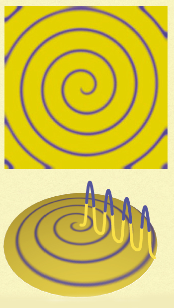 &lt;strong&gt;Figure 4.&lt;/strong&gt; Wave peaks travel outward from the source at varying rates in one-dimensional spiral waves. Image courtesy of [3].