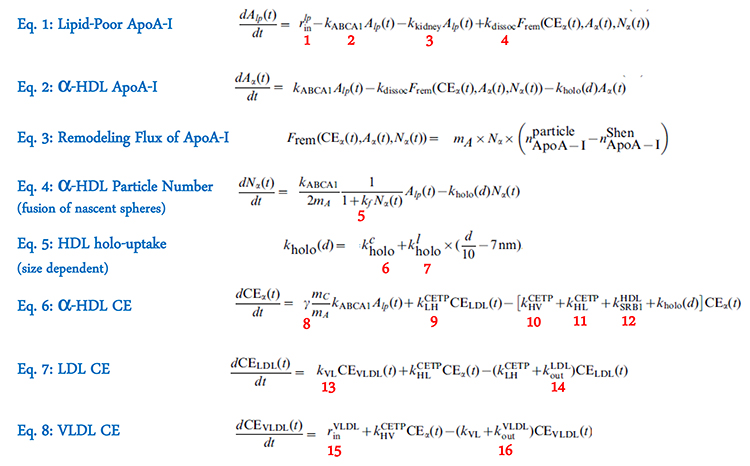 &lt;strong&gt;Figure 2.&lt;/strong&gt; Equations and parameters (numbered in red) in the LMK model; details can be found in [3].