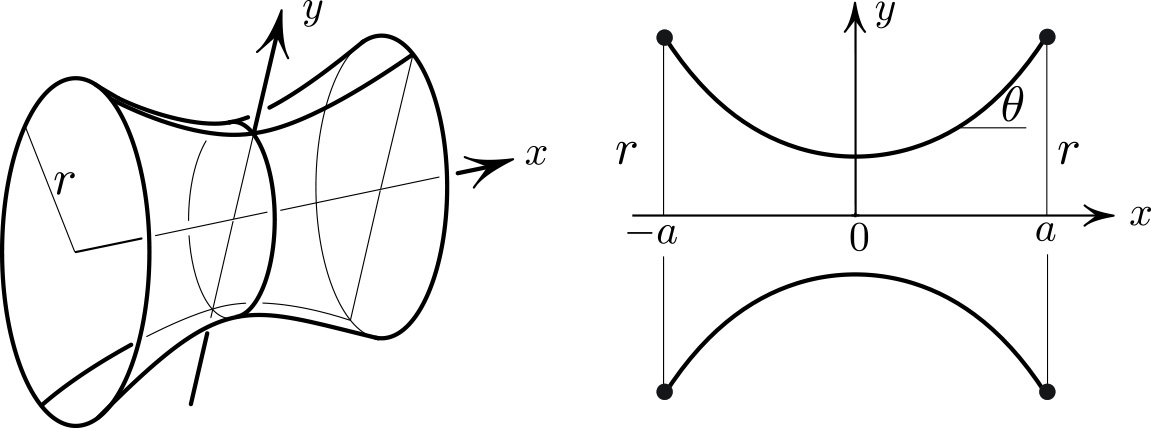 &lt;strong&gt;Figure 1.&lt;/strong&gt;Soap film — a minimal surface that spans two circular hoops.