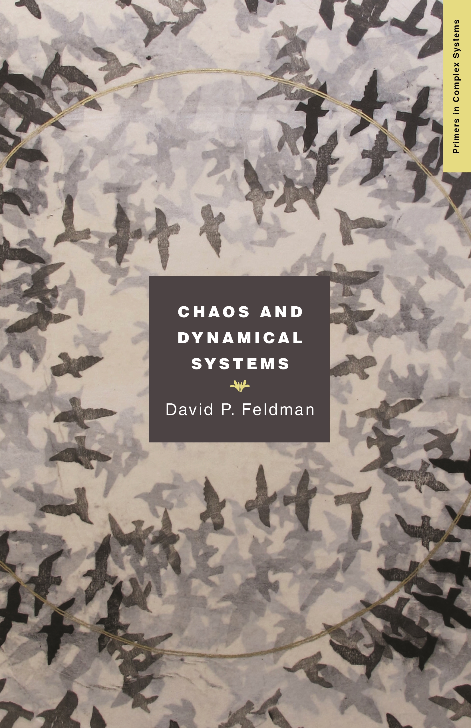 &lt;em&gt;Chaos and Dynamical Systems&lt;/em&gt;. By David P. Feldman. Courtesy of Princeton University Press.