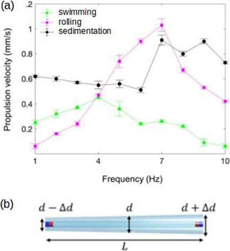 &lt;strong&gt;Figure 3.&lt;/strong&gt; Propulsion of soft rod-like robots. &lt;strong&gt;3a.&lt;/strong&gt; Comparison between experimentally measured swimming propulsion, rolling motion along the boundary, and sedimentation due to gravity. &lt;strong&gt;3b.&lt;/strong&gt; The rod-like swimmers have a tapered shape, which leads to a fore-aft asymmetry that is necessary for swimming propulsion. Figure courtesy of [2].