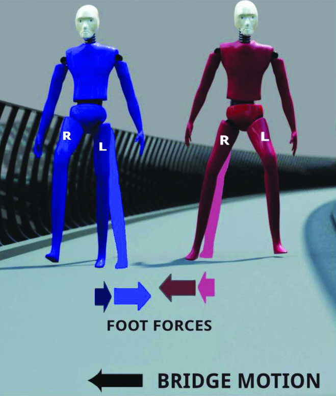 &lt;strong&gt;Figure 2.&lt;/strong&gt; Two identical pedestrians with equal and opposite gaits simultaneously place their stance feet on the bridge. If the bridge is still, the lateral foot force from each pedestrian is equal and opposite so that no net lateral force exists on the bridge. But if the bridge moves to the left, the blue figure’s leg decreases its angle to the vertical within the frontal plane during the step, whereas the red figure’s leg angle increases. The magnitude of the red figure’s lateral foot force therefore increases during this bridge motion, whereas that of the blue figure decreases. On average, a change in resultant force thus occurs in the direction of the bridge’s motion. This mechanism was first identified by Chris Barker [1]. Figure courtesy of [2].