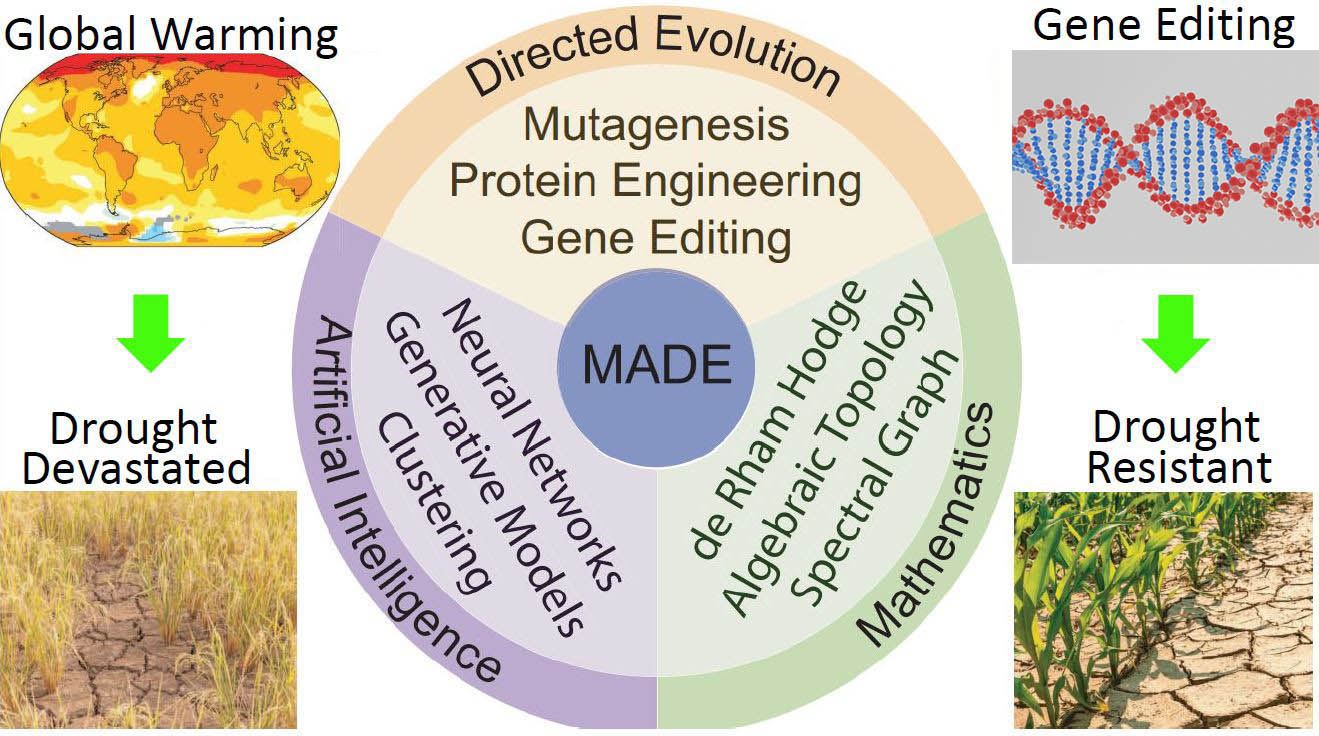 &lt;strong&gt;Figure 1.&lt;/strong&gt; Mathematics-assisted directed evolution could help remediate some impacts of climate change. Clockwise from top left: figures courtesy of [2], &lt;a href=&quot;https://pixabay.com/photos/gene-dna-study-science-biology-6527965/&quot; rel=&quot;noopener noreferrer&quot; target=&quot;_blank&quot;&gt;AlexAntropov86 on Pixabay&lt;/a&gt;, [4], and &lt;a href=&quot;https://www.shutterstock.com/image-photo/dry-cracked-soil-yellow-rice-field-1497862775&quot; rel=&quot;noopener noreferrer&quot; target=&quot;_blank&quot;&gt;Udom Pinyo on Shutterstock&lt;/a&gt;.