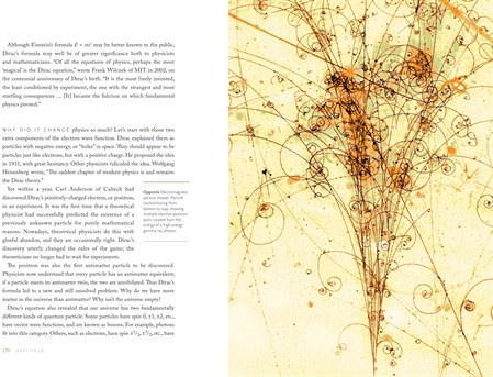 Electromagnetic particle shower. Particle tracks (moving from bottom to top) showing multiple electron–positron pairs created from the energy of a high-energy gamma ray photon. Two-page spread from <em>The Universe in Zero Words</em>; courtesy of Elwin Street Productions.