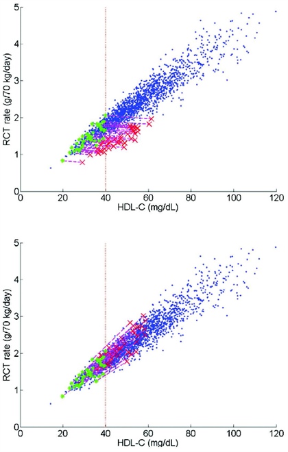 <strong>Figure 3.</strong> Simulation of the relationship between the whole-body RCT rate and HDL-C in a virtual population (n=2000; blue). A subset of virtual subjects with HDL-C < 40 mg/dL (n=390; green) was subjected to 80% CETP inhibition (top) and 100% ABCA1 up-regulation (bottom; red). The purple dashed lines connect the asterisks with the X's for each individual subject during the respective treatments. While both treatments raise HDL-C levels by about 50%, CETP inhibition results in a slight decrease of RCT rate; ABCA1 up-regulation raises RCT rate markedly following the trend of the underlying virtual population.