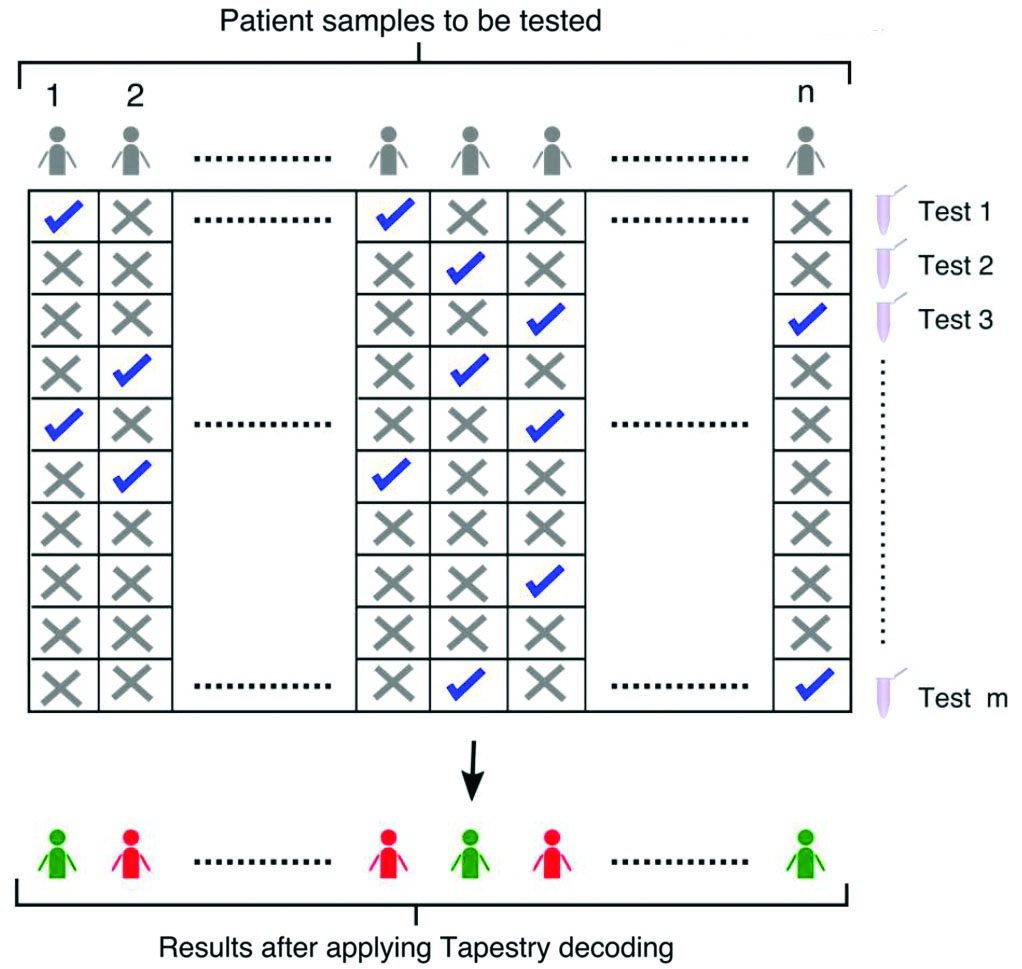 &lt;strong&gt;Figure 1.&lt;/strong&gt; An overview of the pooling scheme proposed in [4]. A total of \(n\) patient samples are pooled into \(m\) tests in a combinatorial manner. Each patient sample is included in multiple tests and each test contains multiple patient samples. Figure courtesy of [4].