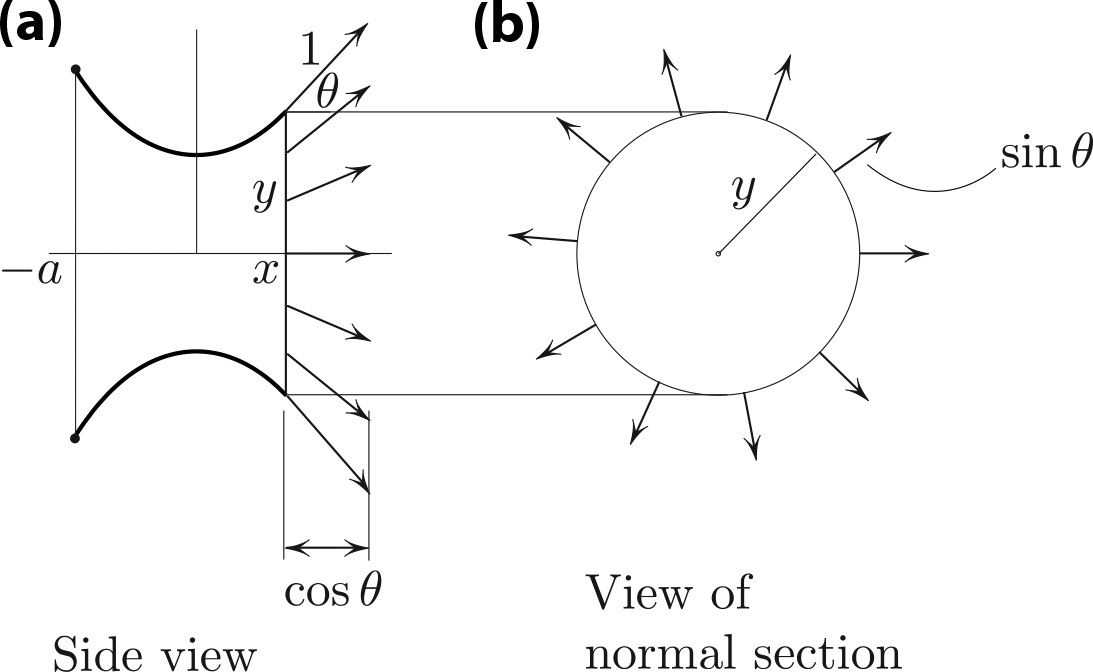 &lt;strong&gt;Figure 4. 4a.&lt;/strong&gt; \(H\) is the horizontal force that acts on any section of the soap “tube,” up to a constant factor that depends on the surface tension. \(H= {\rm const.}\) as a function of \(x\) is the consequence of Newton’s first law. &lt;strong&gt;4b.&lt;/strong&gt; Here, \(y \sin \theta = p\) is the cumulative force on a portion of the tube that acts in the plane of the section.