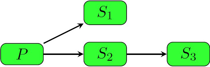 <strong>Figure 1.</strong> A transmission chain with a primary case (\(P\)) and three secondary infections (\(S_n\)). Figure courtesy of Omar Saucedo.